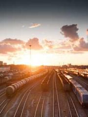 My pets are all amaz