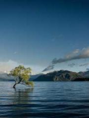 Bones-Eating Marriag