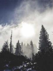 lt;Natural Disasters