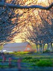 Become a big shot in