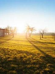 My Sweet Wife: The C