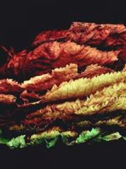 Lu Zongapos;s Hidden