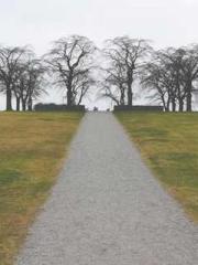 Qi is thin, but I be