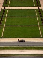 The Rebirth of a Phy