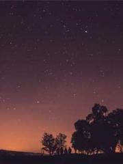 lt;gt;The son of a w