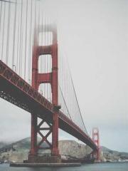 Super husband Lin Xi