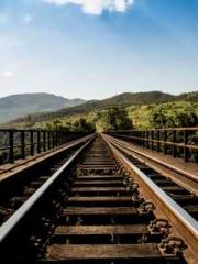 The Imperial Concubi