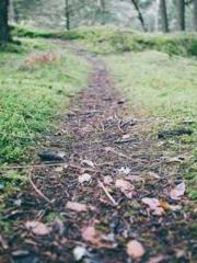 The Realm of the Dao