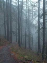 lt;lt;lt;The Peerles