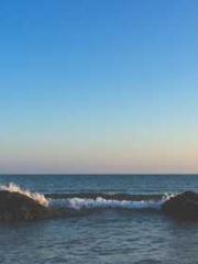 My Amazing Female Te