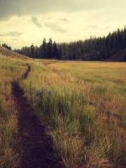 Girlfriends  lt;/pgt