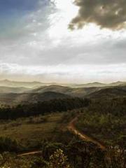 Cultivating My Empre