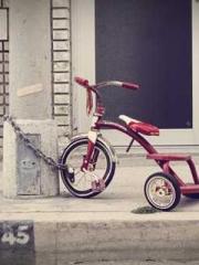 Mr. Gu, your wife is