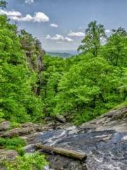 The Imperial Concubi