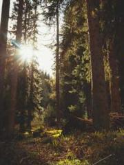 Billions of Blessing