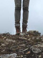 lt;lt;lt;The Peerles