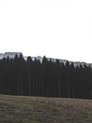 I Picked Up a Cultiv