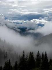 lt;lt;lt;The Peerles