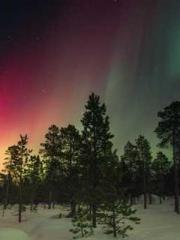 lt;gt;The son of a w