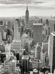 The Rough Man Hunter