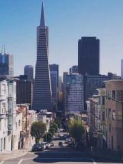 lt;gt;The son of a w