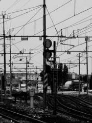 Mr. Shen, overdue an