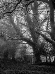 Becoming a Farm Girl