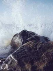 The Taoist nun was f